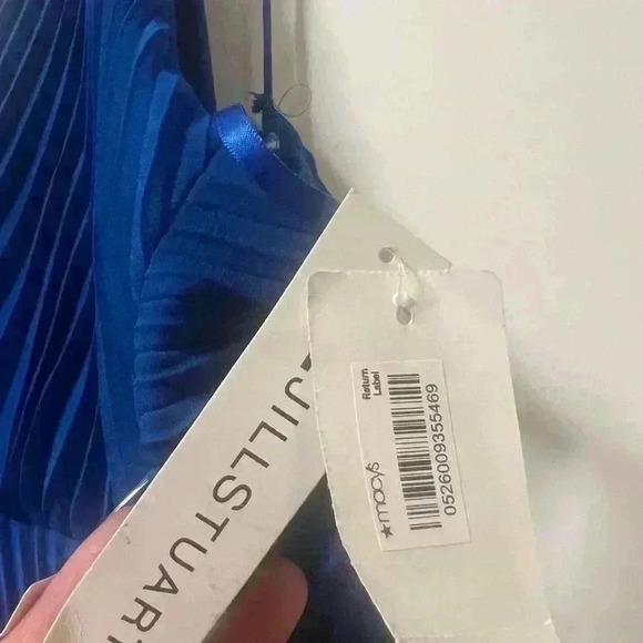 NWT Jill Stuart Formal Pleated Chiffon Gown - Picture 7 of 7